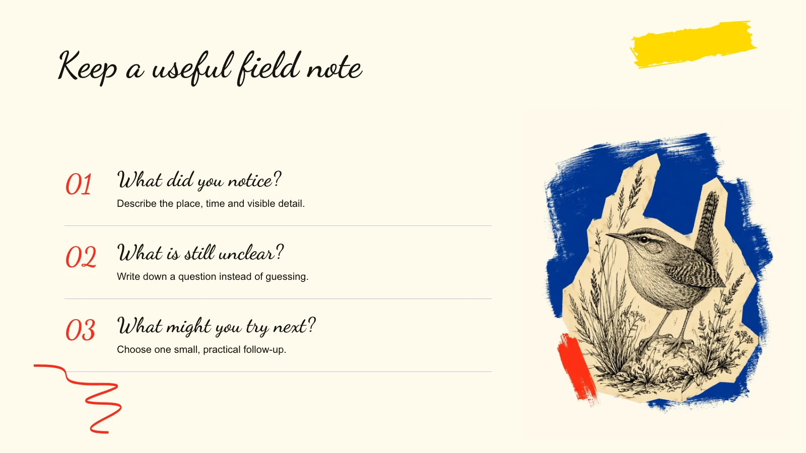 Brush Paper Deck