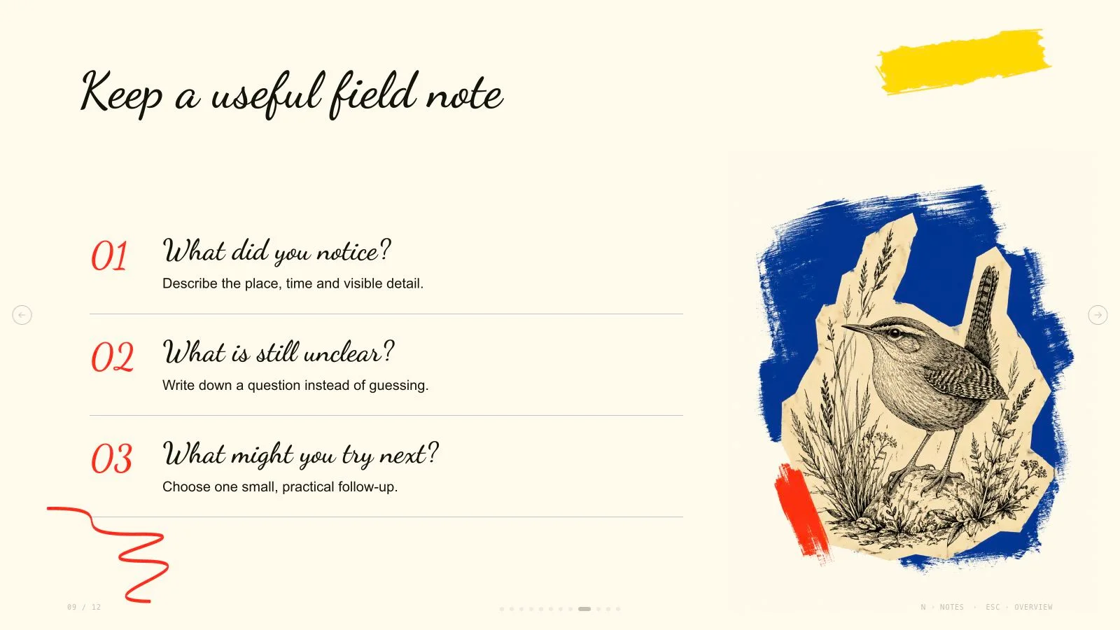 Brush Paper Deck result preview 9