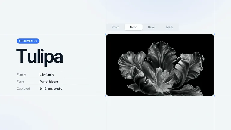 LaunchMotion · Specimen Inspector result preview