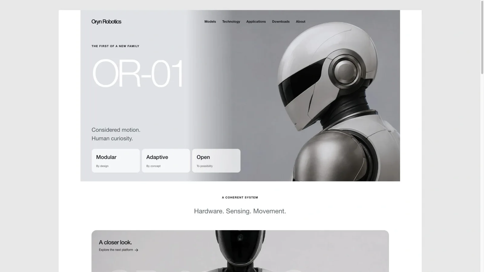 Silver Robot Product Site result preview